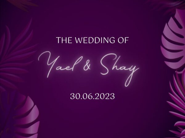סרטון סייב דה דייט \ הזמנה לחתונה 24